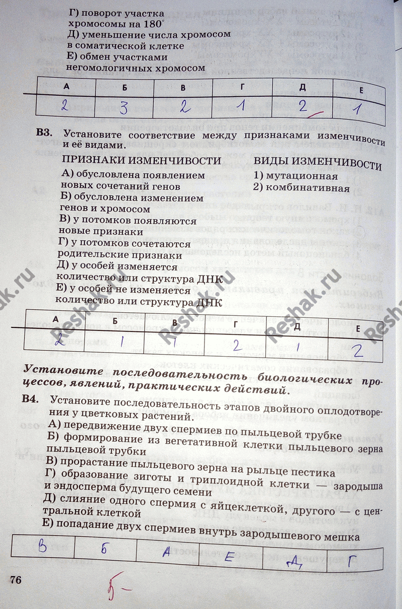 Дополнительное изображение