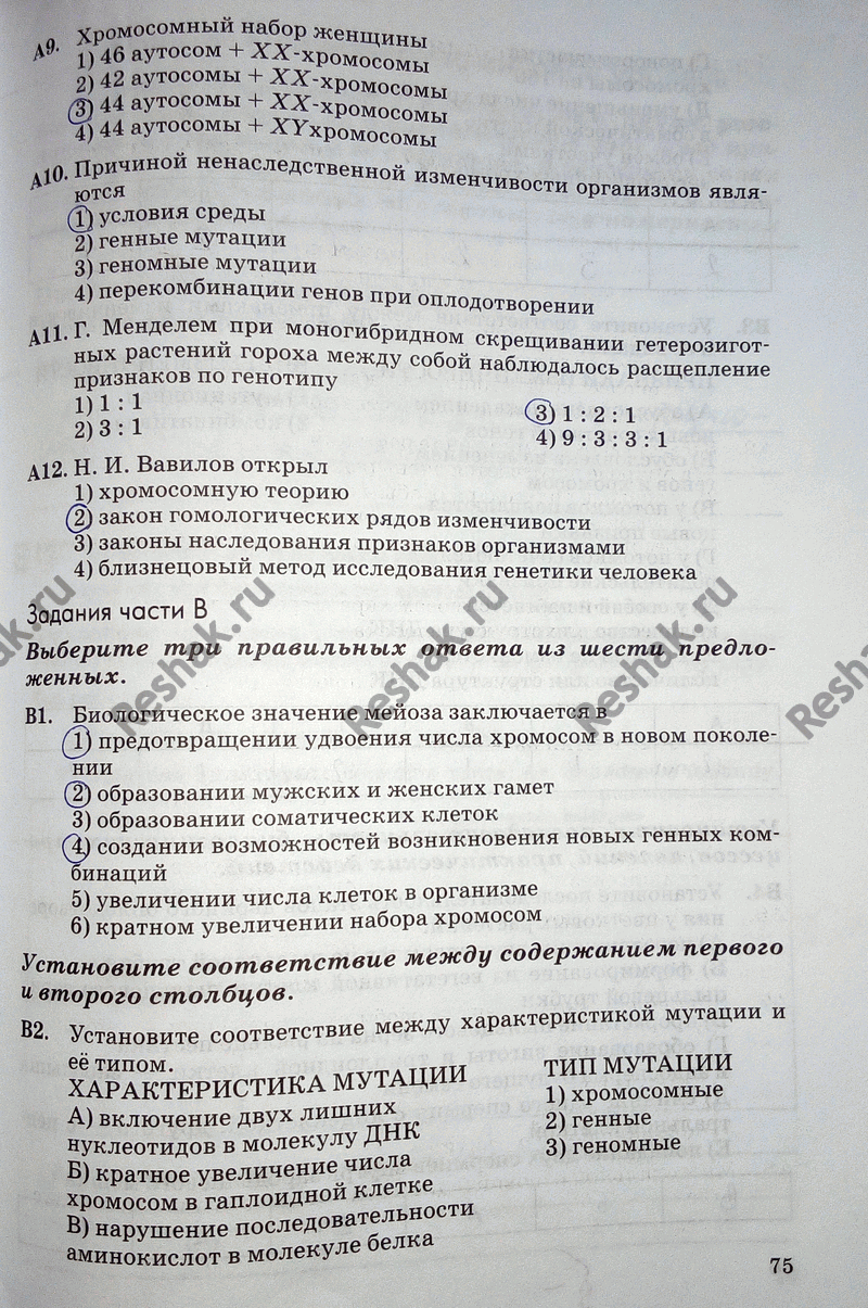 Дополнительное изображение
