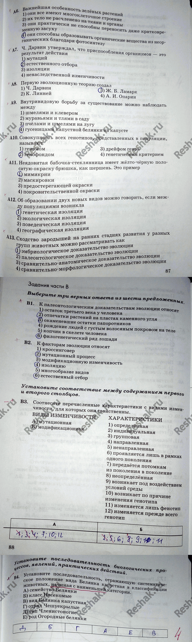 Дополнительное изображение