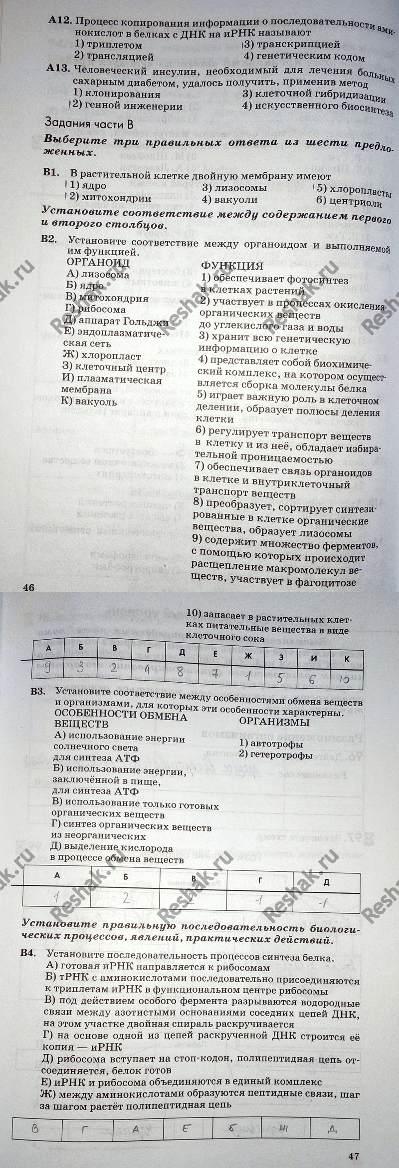 Дополнительное изображение