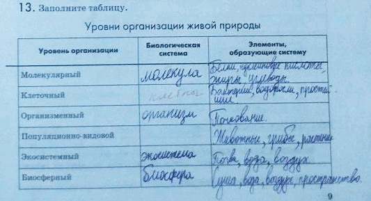 Изображение 13. Заполните таблицу.  Уровни организации живой природы Уровень организации Биологическая...