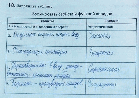 Изображение 1 8. Заполните таблицу.  Взаимосвязь свойств и функций липидов Свойство Функция  1. Окисляются...