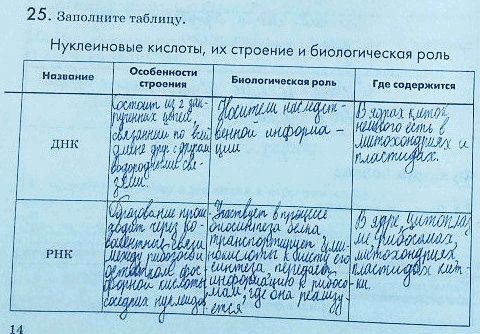 Изображение 25. Заполните таблицу.  Нуклеиновые кислоты, их строение и биологическая роль Название Особенности Биологическая роль Где содержится  строения  ДНК ...
