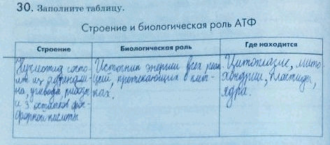Изображение 30. Заполните таблицу.  Строение и биологическая роль АТФ Строение Биологическая роль Где...