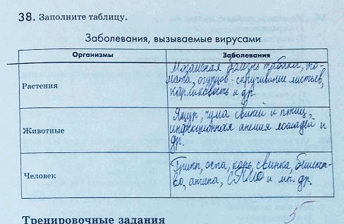 Изображение 38. Заполните таблицу.  Заболевания, вызываемые вирусами Организмы Заболевания  Растения  Животные ...