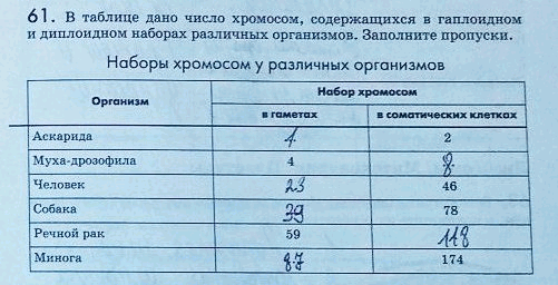 Изображение 61. B таблице дано число хромосом, содержащихся в гаплоидном и диплоидном наборах различных...