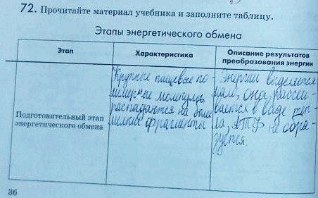 Изображение 72. Прочитайте материал учебника и заполните таблицу.  Этапы энергетического обмена Этап...
