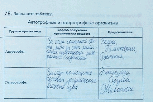 Изображение 78. Заполните таблицу.  Автотрофные и гетеротрофные организмы Группы организмов Способ получения Представители  органических веществ  Автотрофы  Г...