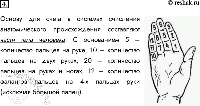 Изображение 4. Как вы считаете, почему позиционные системы счисления с основаниями 5, 10, 12 и 20 называют...