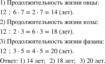 Изображение ﻿Кролик живёт до 12 лет, что составляет: 1) 6/7 продолжительности жизни овцы; 2) 2/3...