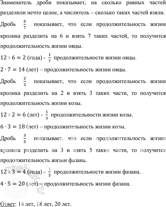Изображение ﻿Кролик живёт до 12 лет, что составляет: 1) 6/7 продолжительности жизни овцы; 2) 2/3...