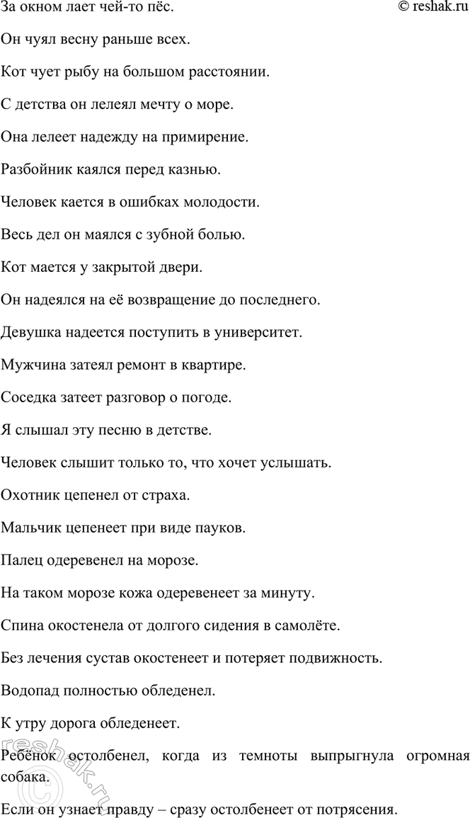 Дополнительное изображение