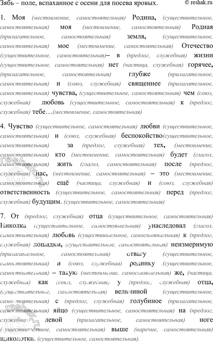 Дополнительное изображение