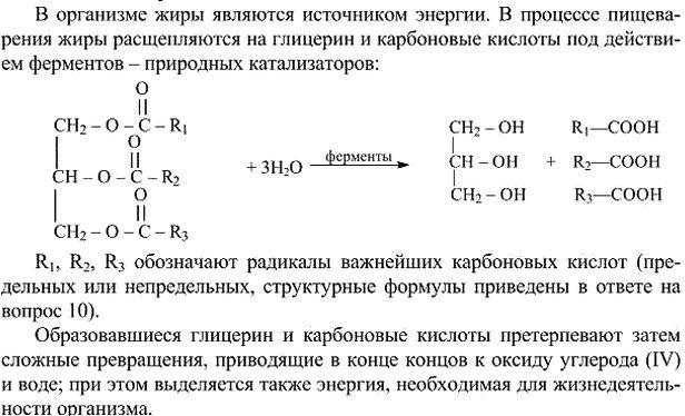 Изображение 11. Охарактеризуйте роль жиров в организме животных. Приведите уравнения реакций, поясняющих превращение жиров в...