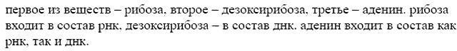 Изображение 7. В состав каких известных вам нуклеиновых кислот входят радикалы следующих...